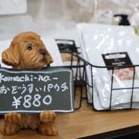 ブログ