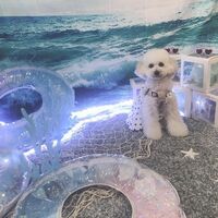 ブログ