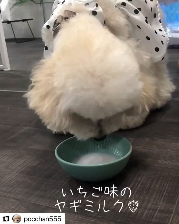 ブログ