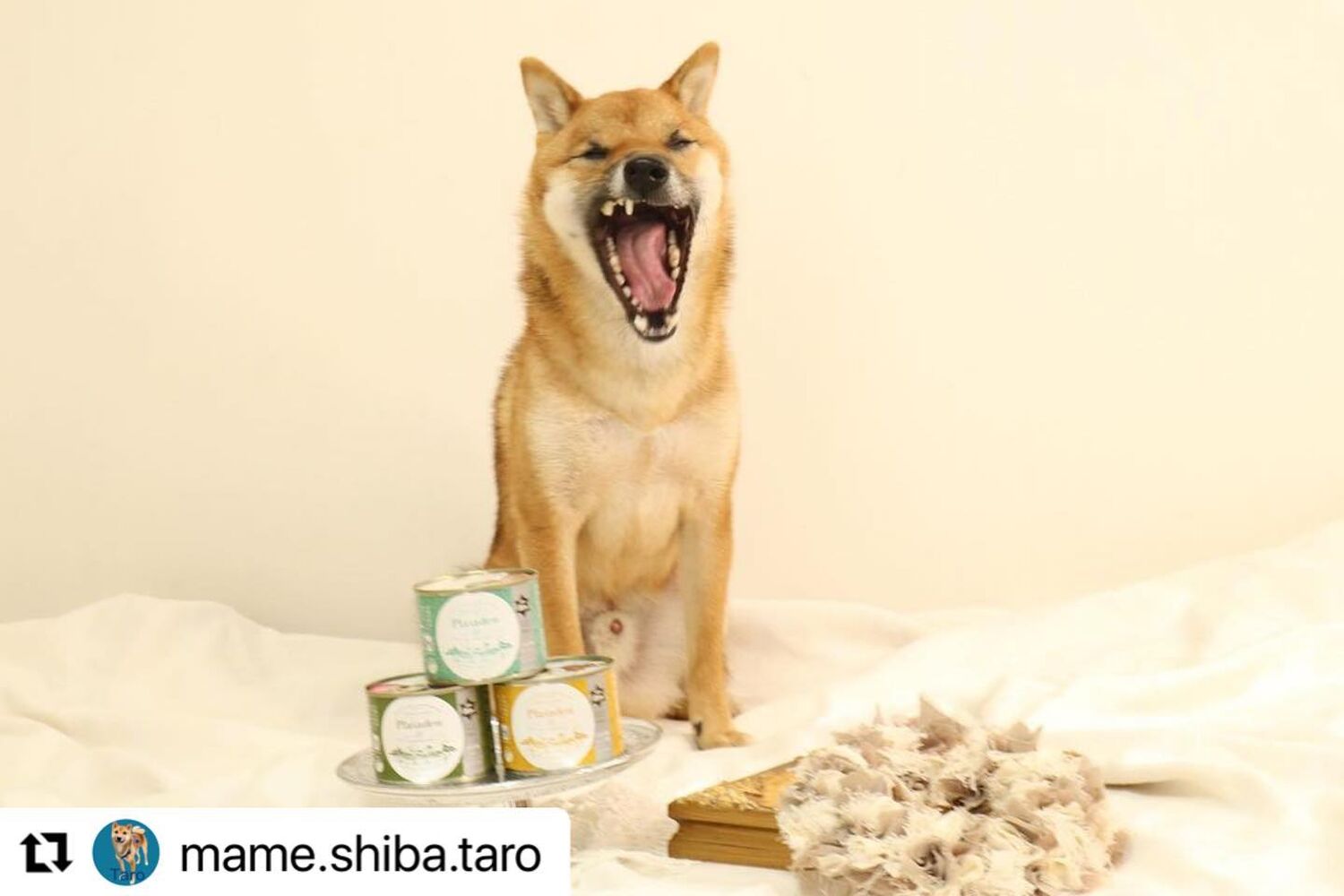 ブログ