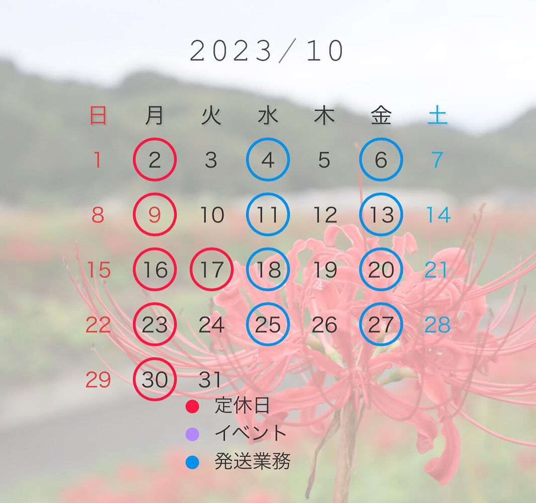 ブログ