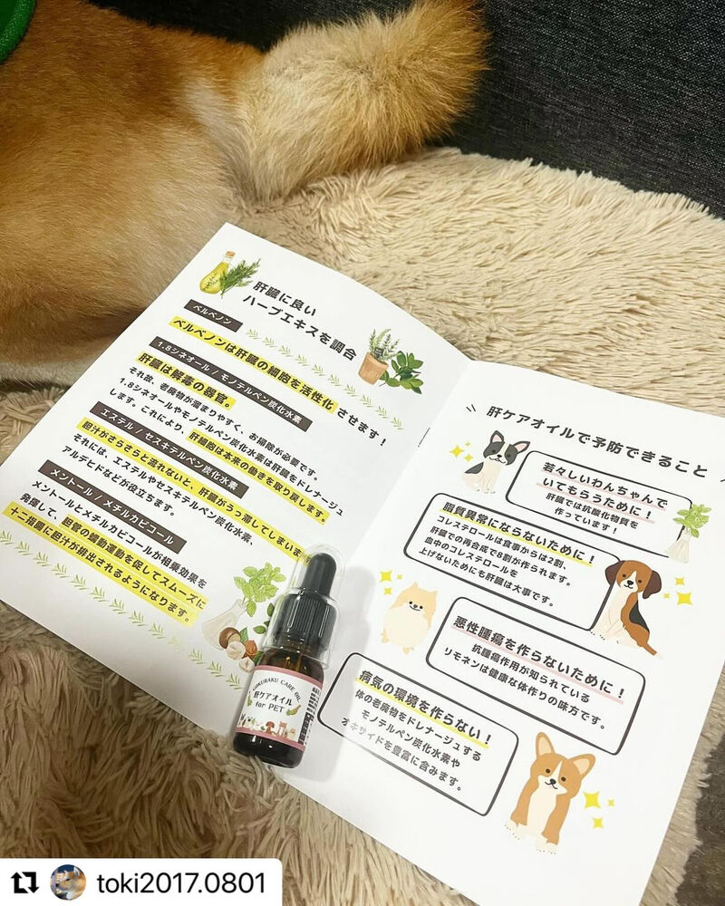 ブログ