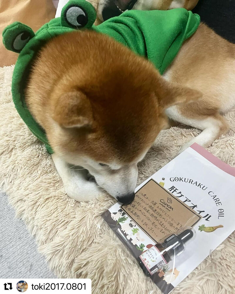 ブログ