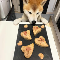 ブログ