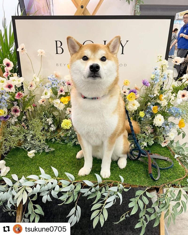 ブログ