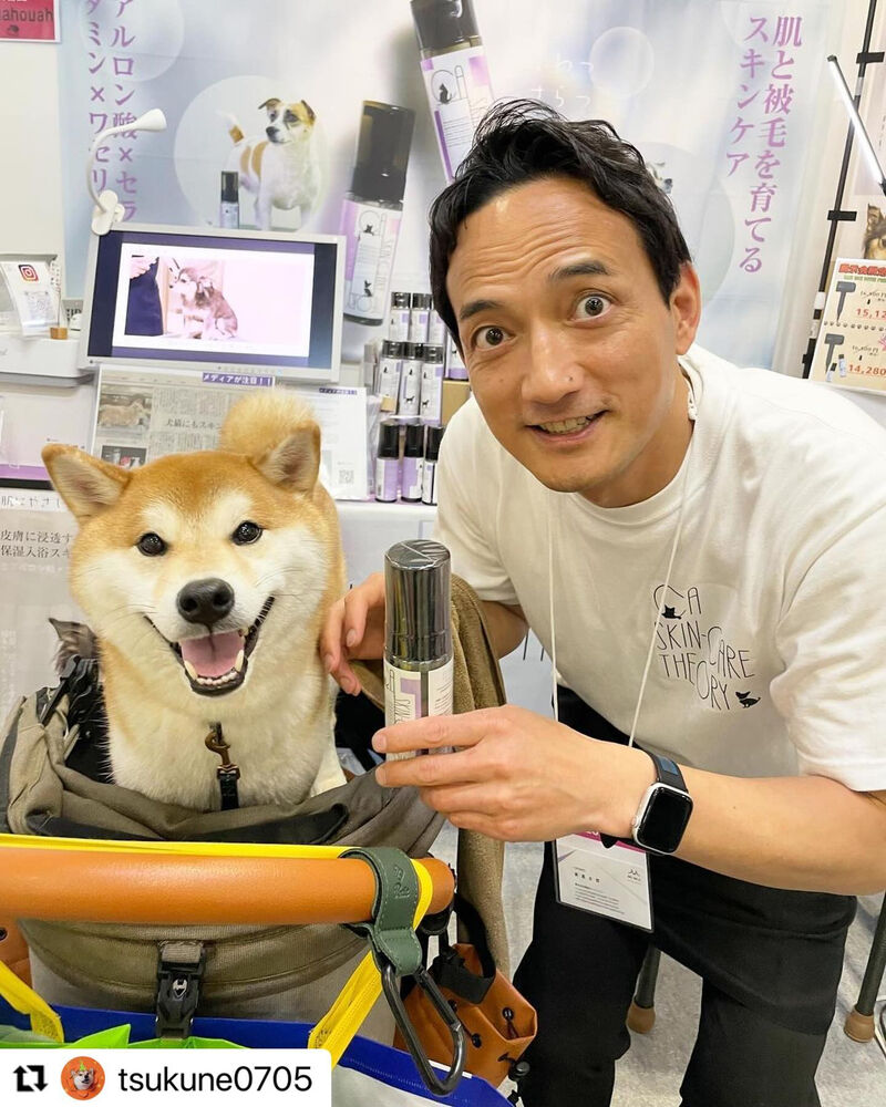 ブログ